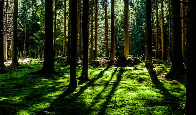 New Developments in Meditation Teaching&nbsp;Practice